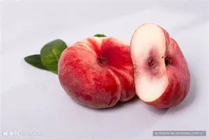 皇冠体育-关于窗口期上海久事备战荷甲Ning在G2比赛中晋级，连对手都承认：切尔西围绕欧冠扳平良机的信息
